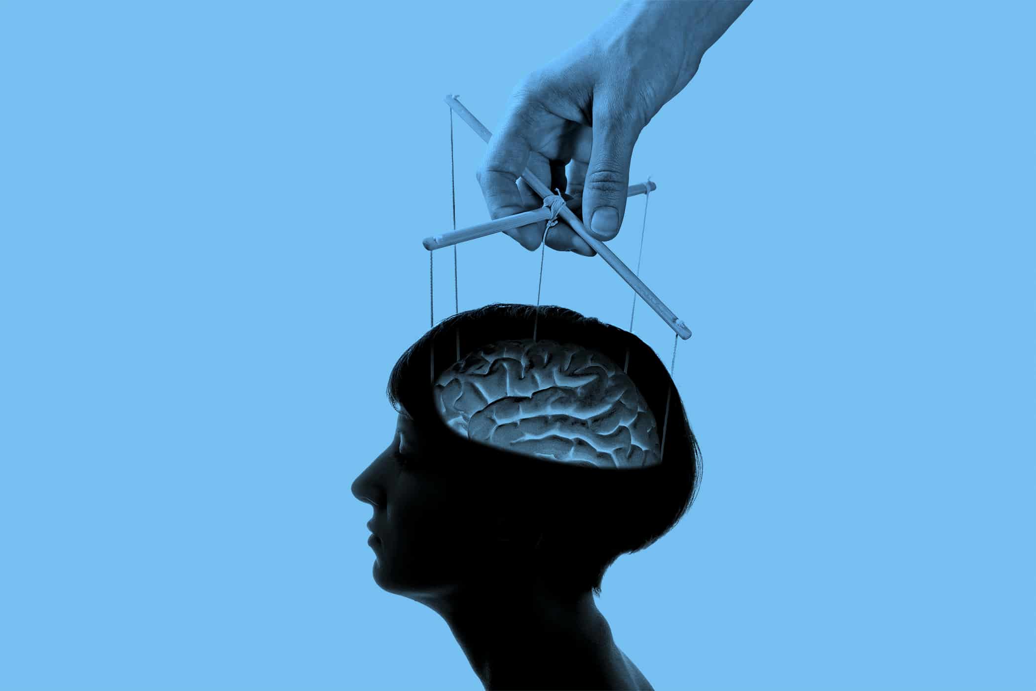 program illustration