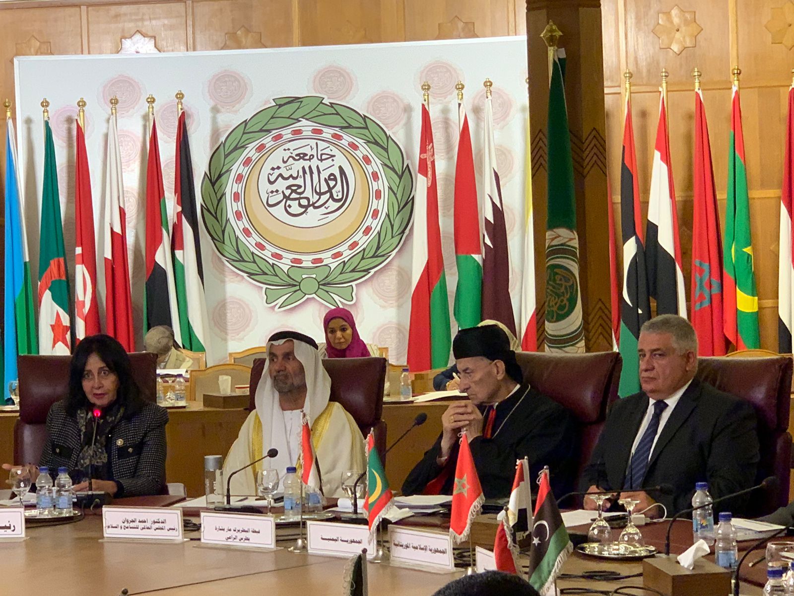 نوفل ضو يشرح في القاهرة